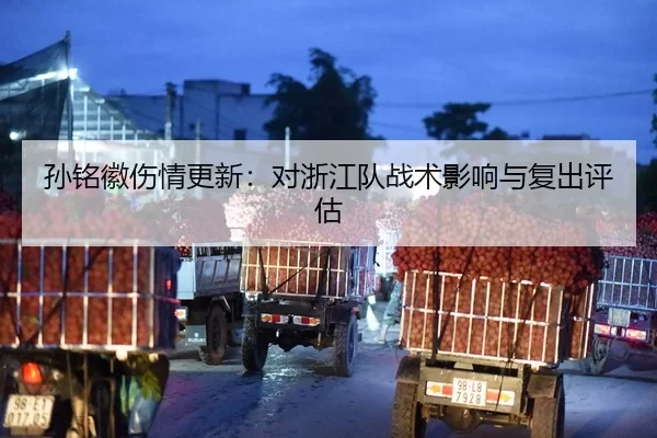 孙铭徽伤情更新：对浙江队战术影响与复出评估